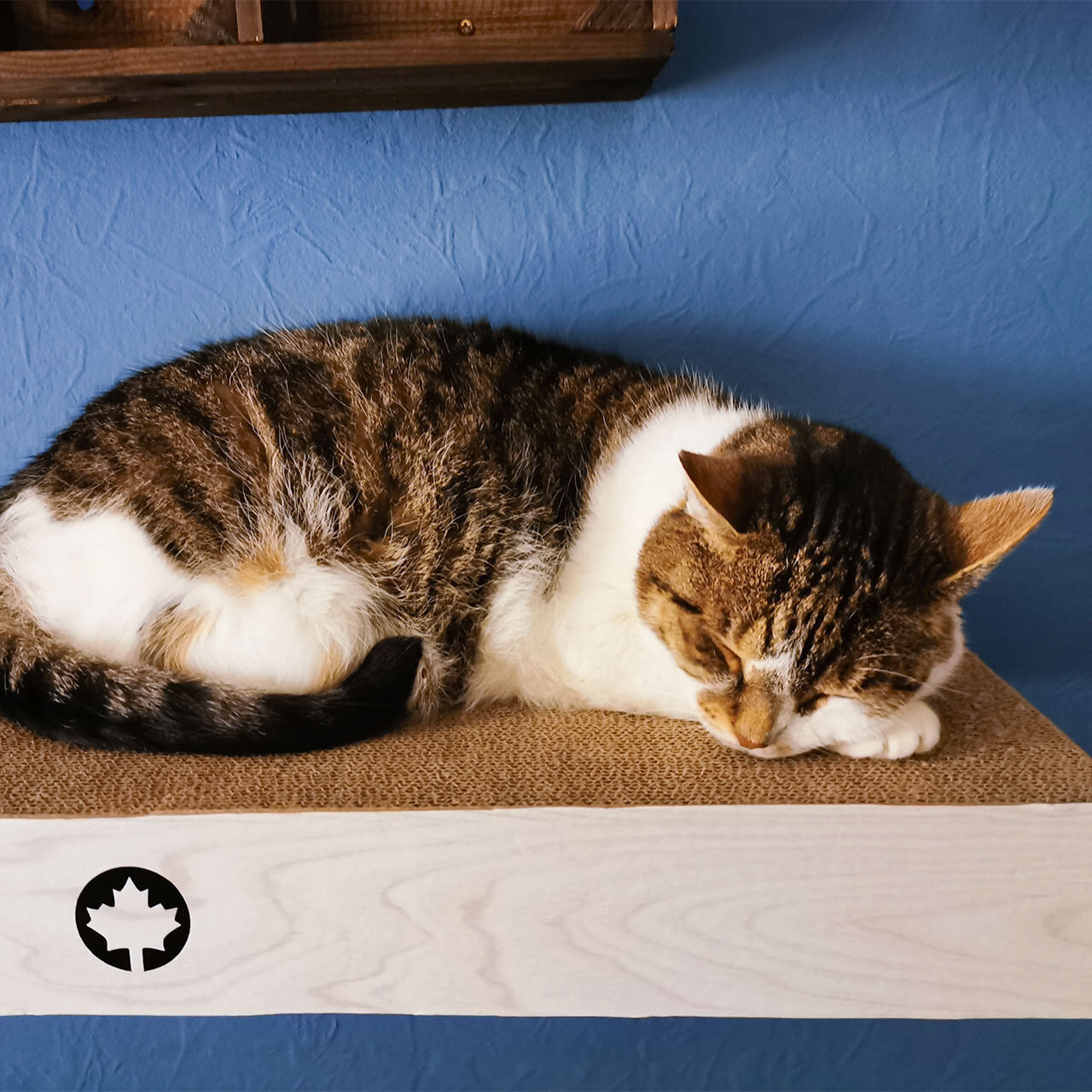 Canadian Cat Company Kratzbretter & Kratzpappen Canadian Cat Company 3er Set Kratzbrett Cloud für die Wand hellgrau