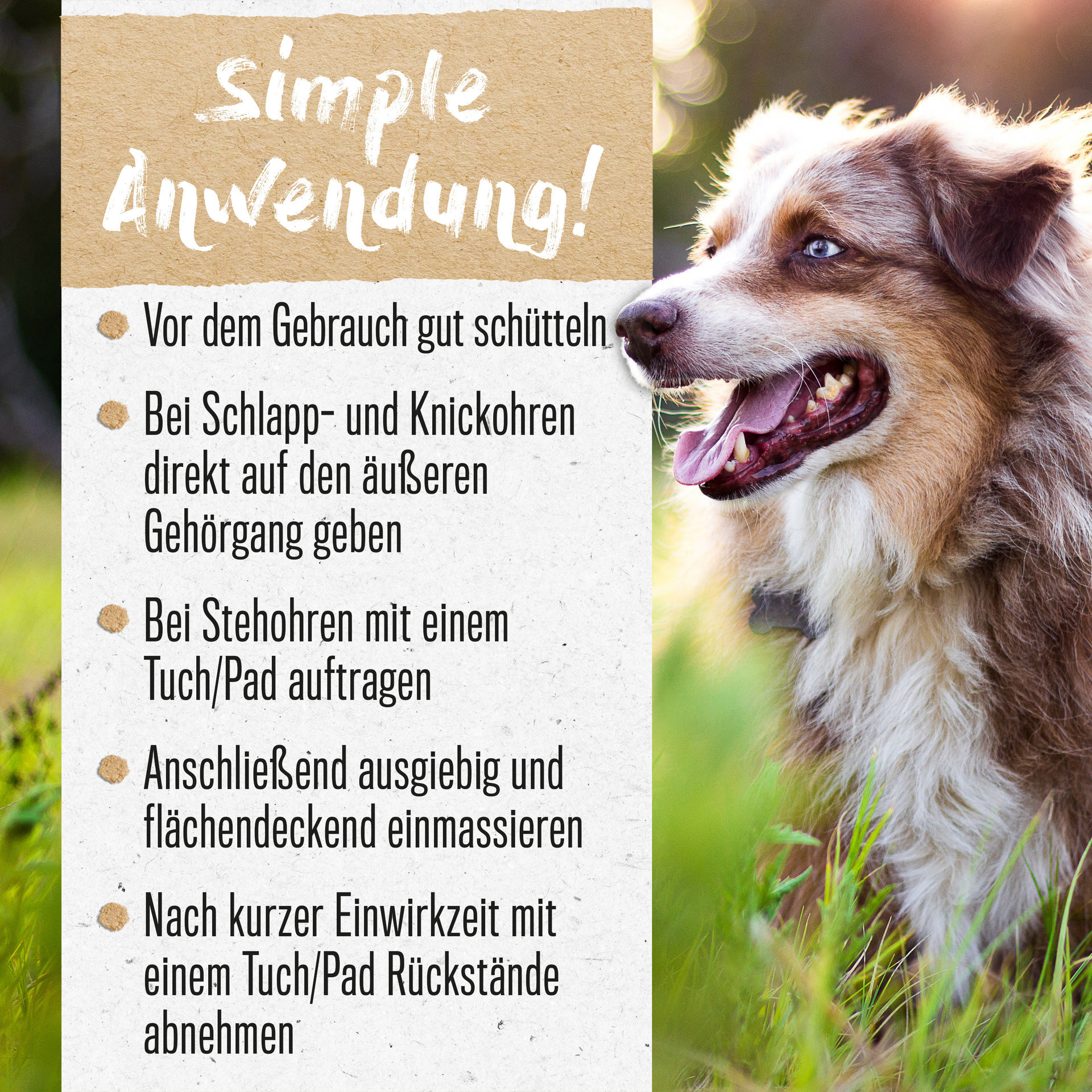 ALPHAZOO Augen- & Ohrenpflege ALPHAZOO Ohrmilbenöl 100ml für Hunde & Katzen I Starkes Mittel gegen Ohrmilben
