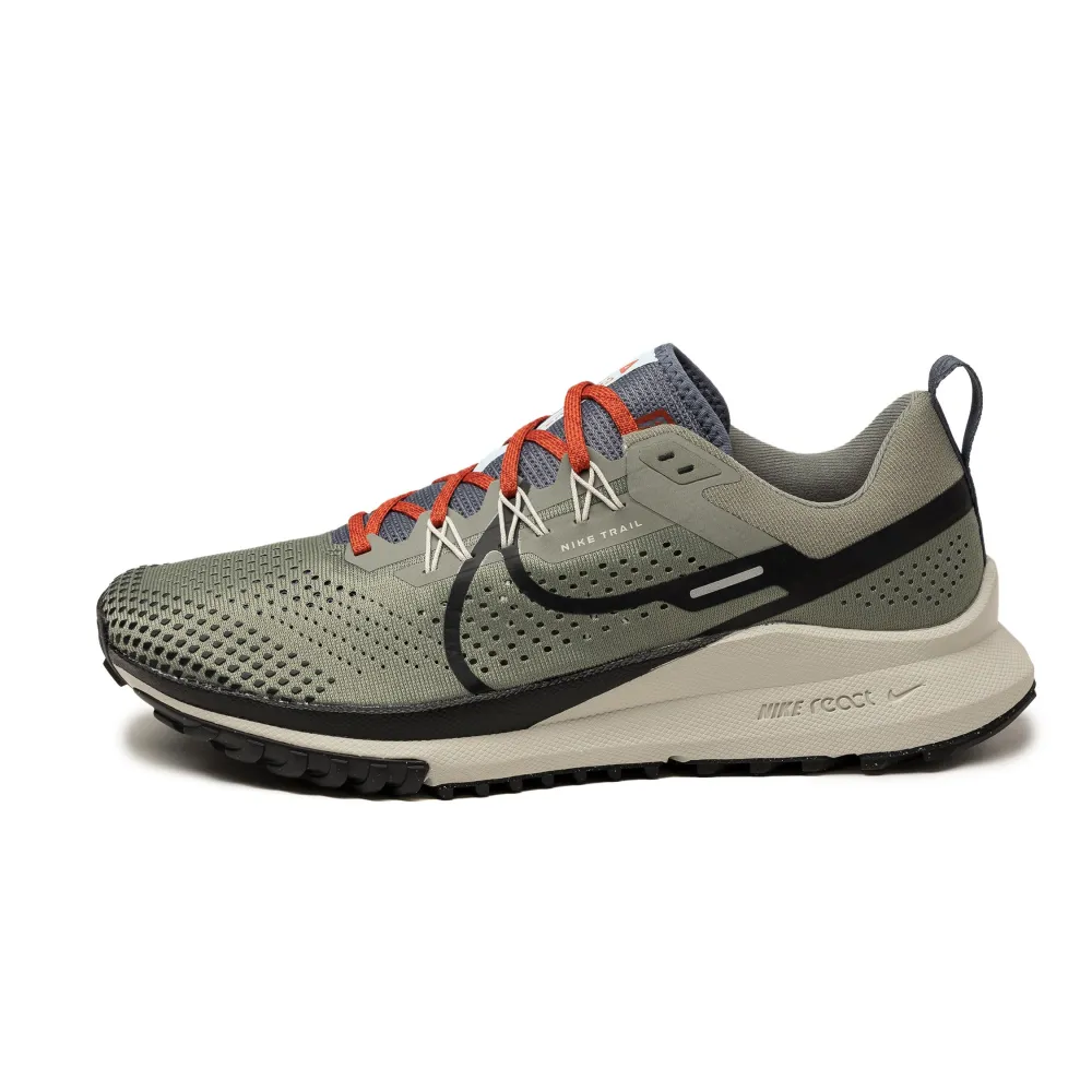 Nike Pegasus Trail 4 DJ6158-007 / grau