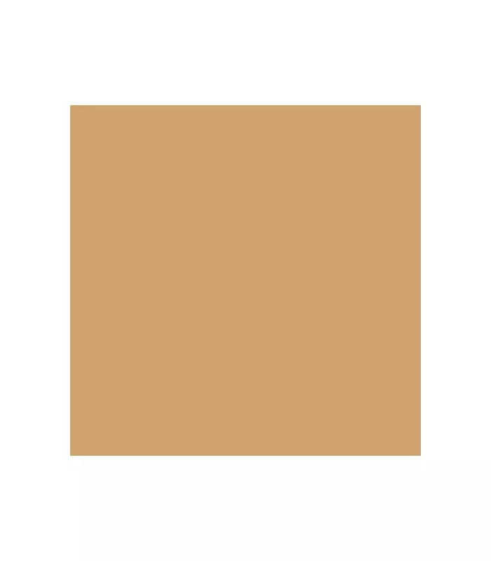 CORRECTEUR STICK COVER MATCH Correcteur Anti-cernes et Anti-imperfections en stick - Waterproof - Vegan