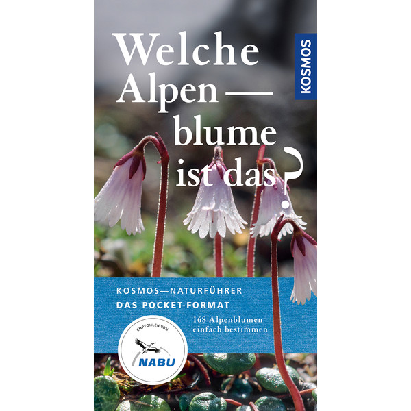 Welche Alpenblume ist das? - Ratgeber