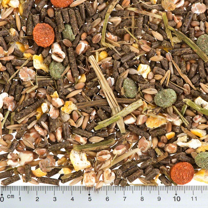 Vilmie Meerschweinchenfutter zu TOP-Preisen