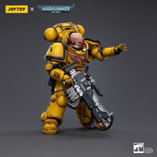 Warhammer 40k Actionfigur: Imperial Fists Heavy Intercessors 02