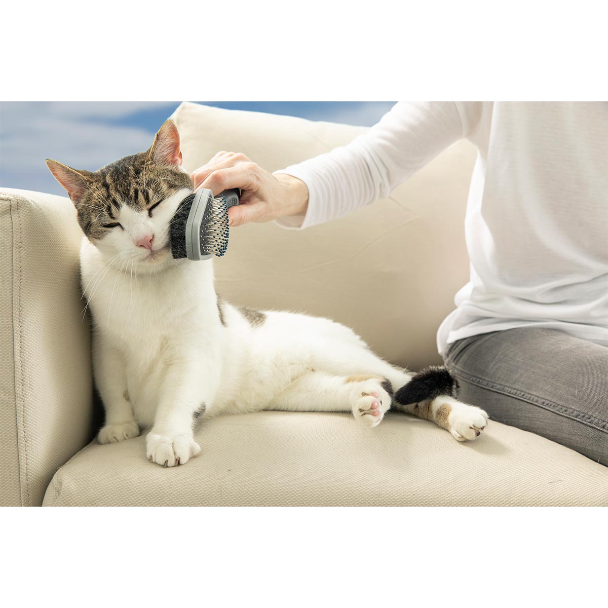 FURminator Doppelbürste für Hund und Katze kaufen