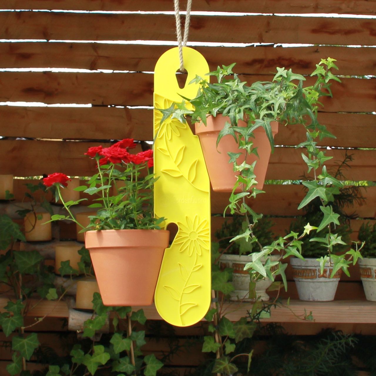 Gardenguard Blumenampel, Zitrone