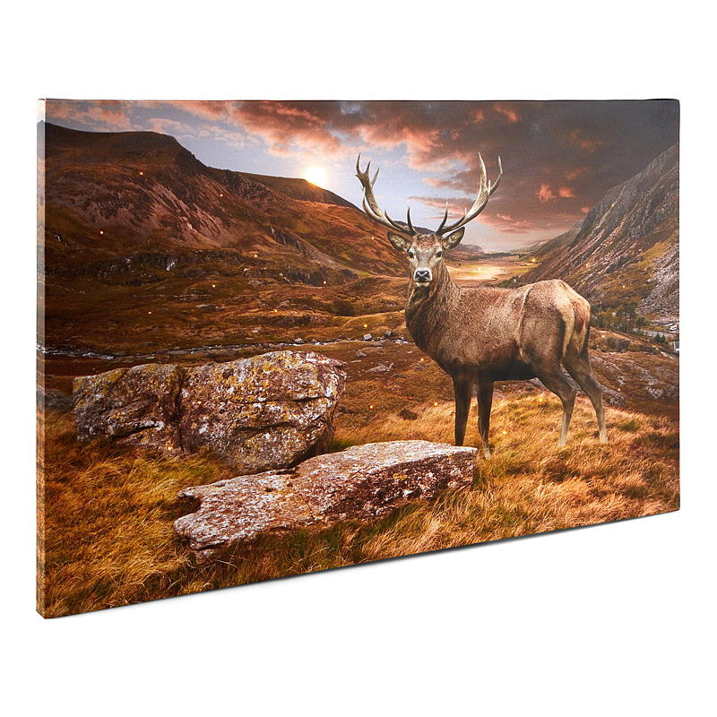 Home Canvasbilde 38x58 cm LED/fiberoptik Autumn