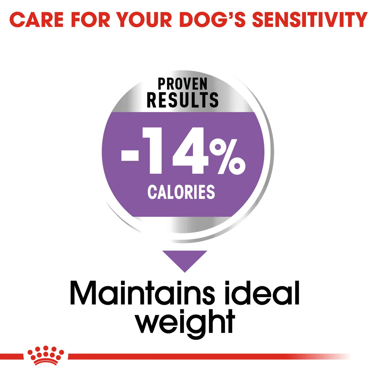 ROYAL CANIN STERILISED MAXI Trockenfutter für kastrierte große Hunde