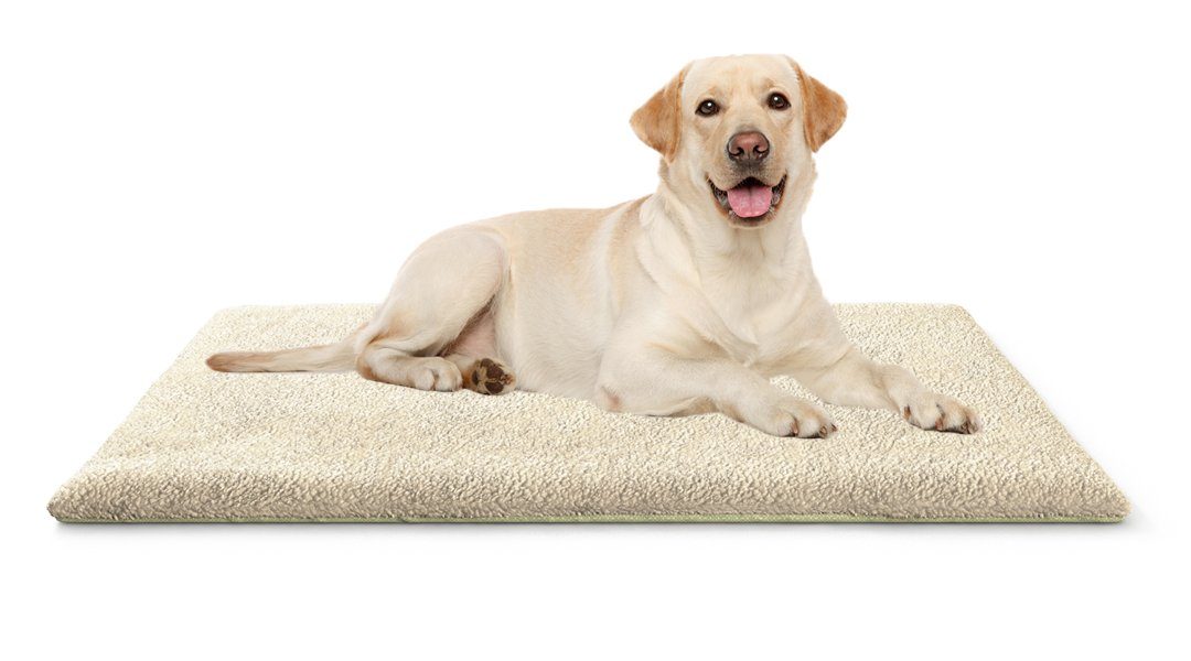 Knuffelwuff Hundematte Thermodecke, Isoliert die Kälte vom Boden