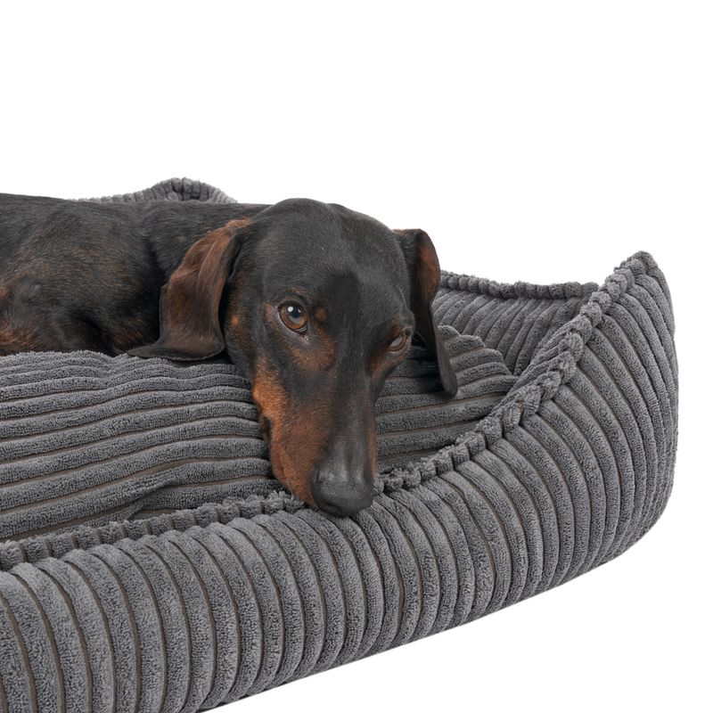 Modern Living Hundebett Helena zu TOP-Preisen