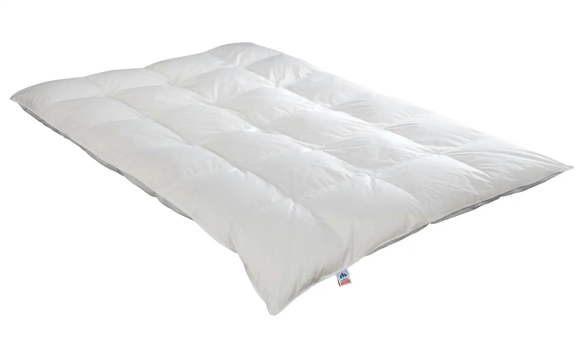 IRISETTE Daunensteppbett extra warm