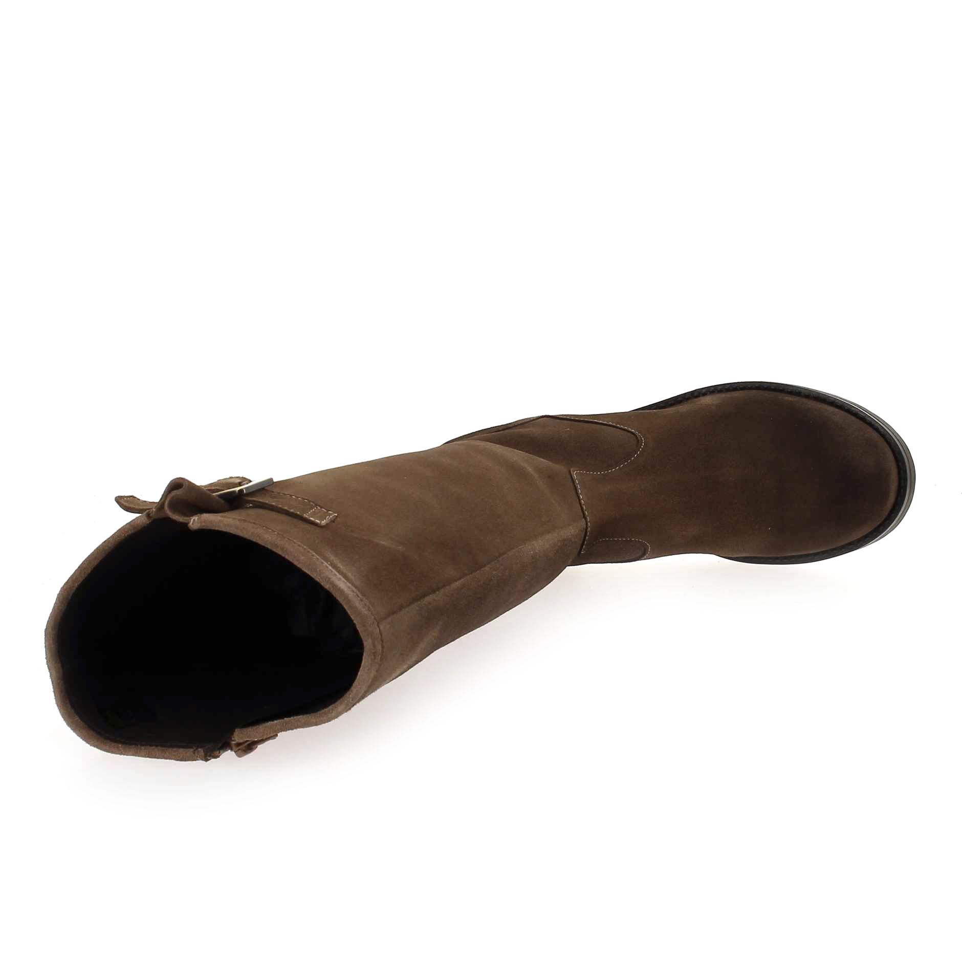 We Do  88079 - Taupe