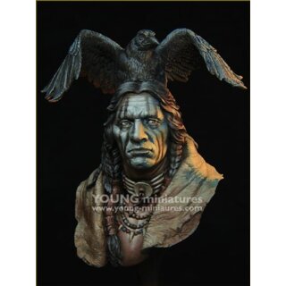 Raven Sorcerer 1/10 Bust