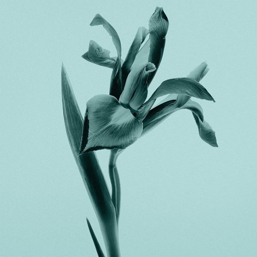 Tiffany & Co.