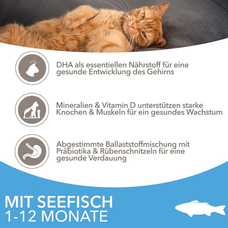 IAMS Advanced Nutrition Kitten mit Meeresfisch