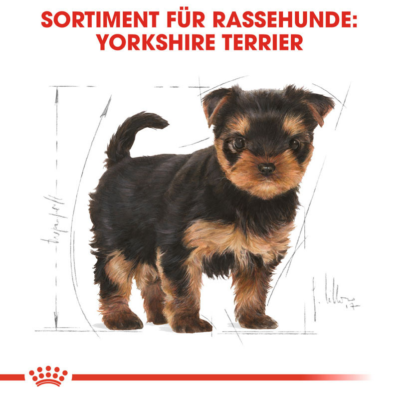 ROYAL CANIN Hundetrockenfutter ROYAL CANIN Yorkshire Terrier Puppy 1,5 kg