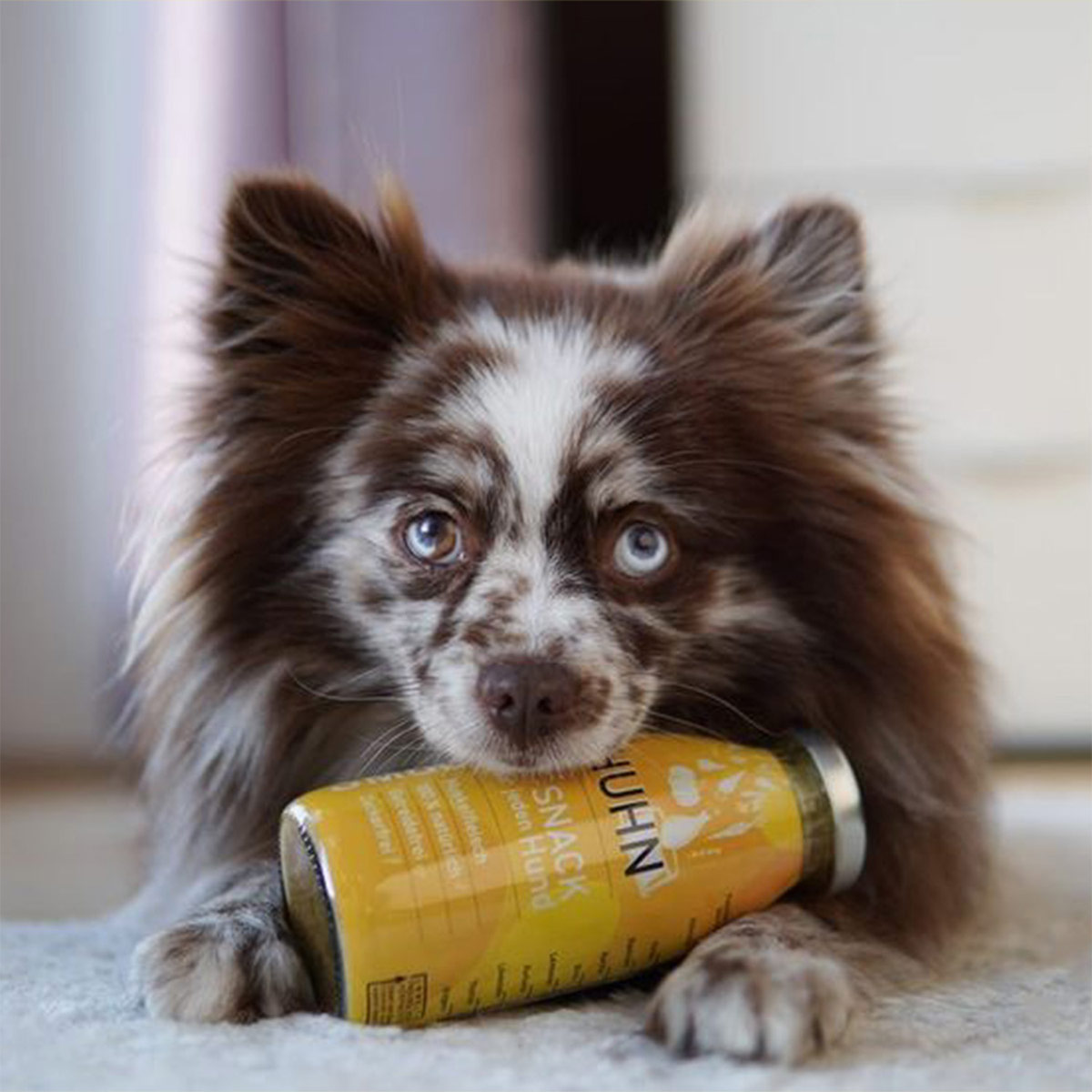 SmoothieDog Huhn günstig kaufen bei ZooRoyal