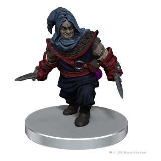 Dungeon & Dragons Icons of the Realms Set 20 The Wild Beyond the Witchlight Starter Set 2