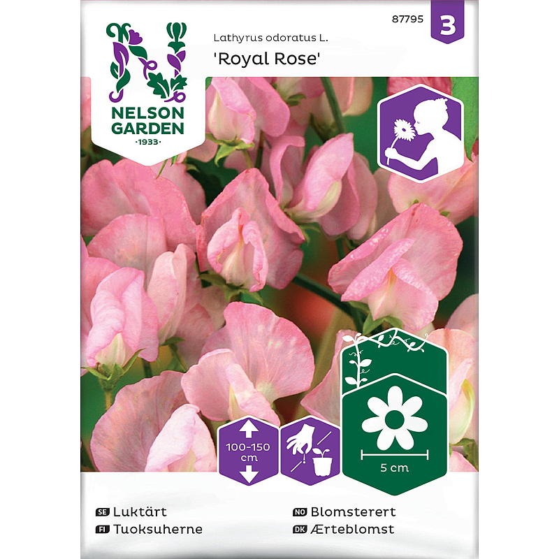 Nelson garden Frø Blomsterert Royal Rose, rosa