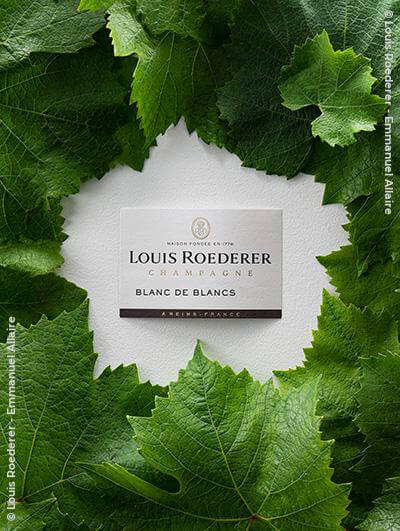 Louis Roederer : Blanc de Blancs 2010