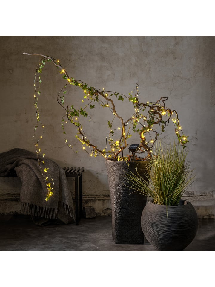 STAR Trading Solarlichterkette Dew Drop Micro, Lichterkette, Solar, Grün, Außenbere günstig kaufen onesize