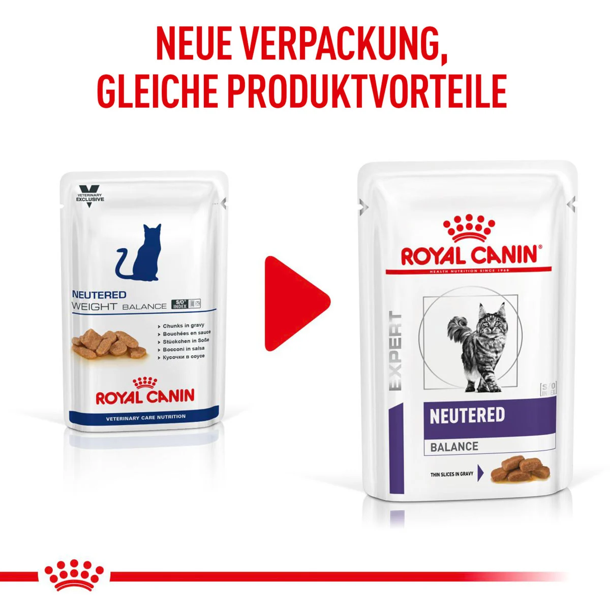 ROYAL CANIN Expert NEUTERED BALANCE Nassfutter für Katzen
