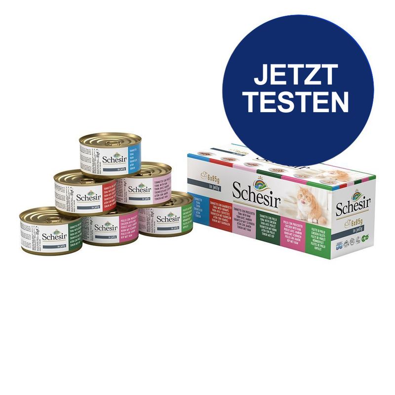 Probierpaket Schesir Dose zu TOP-Preisen