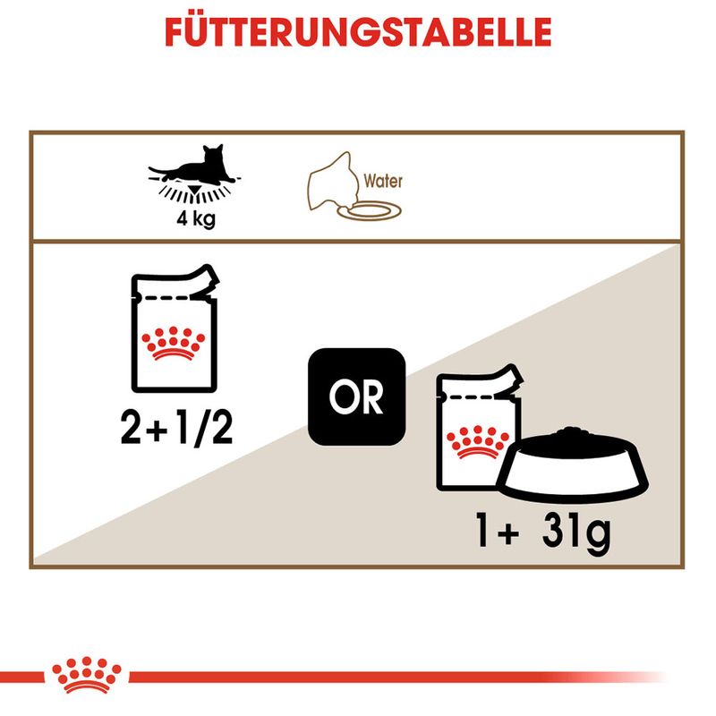 Royal Canin Ageing +12 in Gelee zu TOP-Preisen