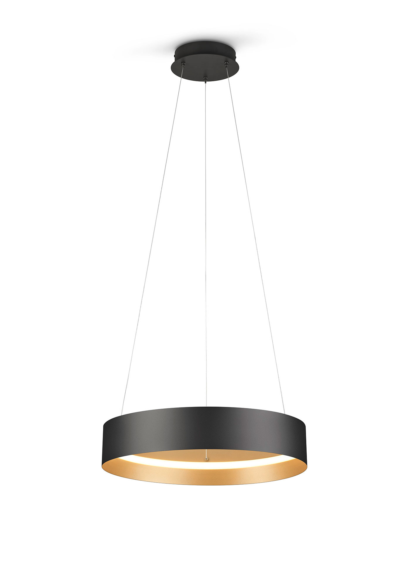 MusterringLED-Pendelleuchte 1flg