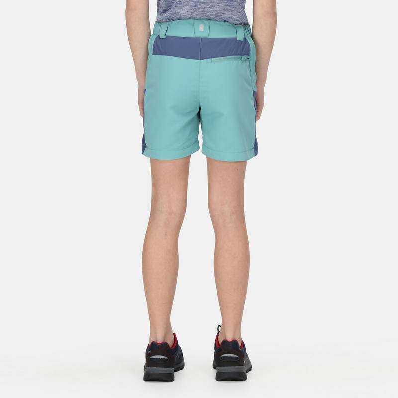 Regatta Sorcer Mountain III Shorts Kinder