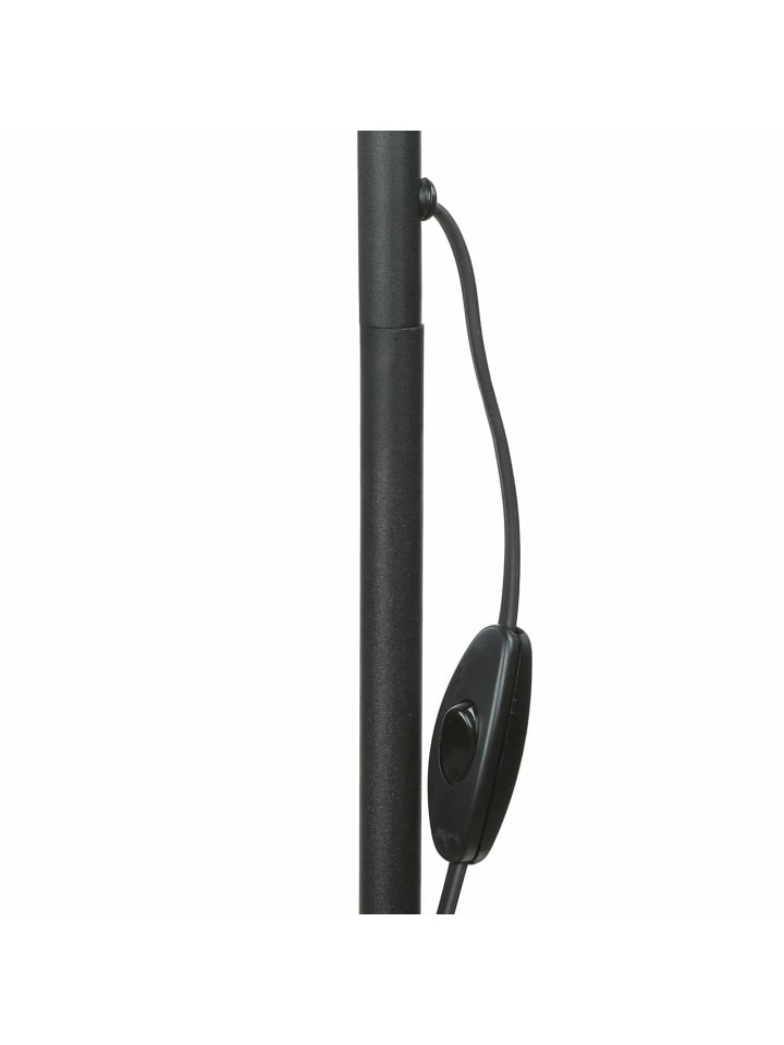 Licht-Erlebnisse Stehlampe in Schwarz günstig kaufen onesize