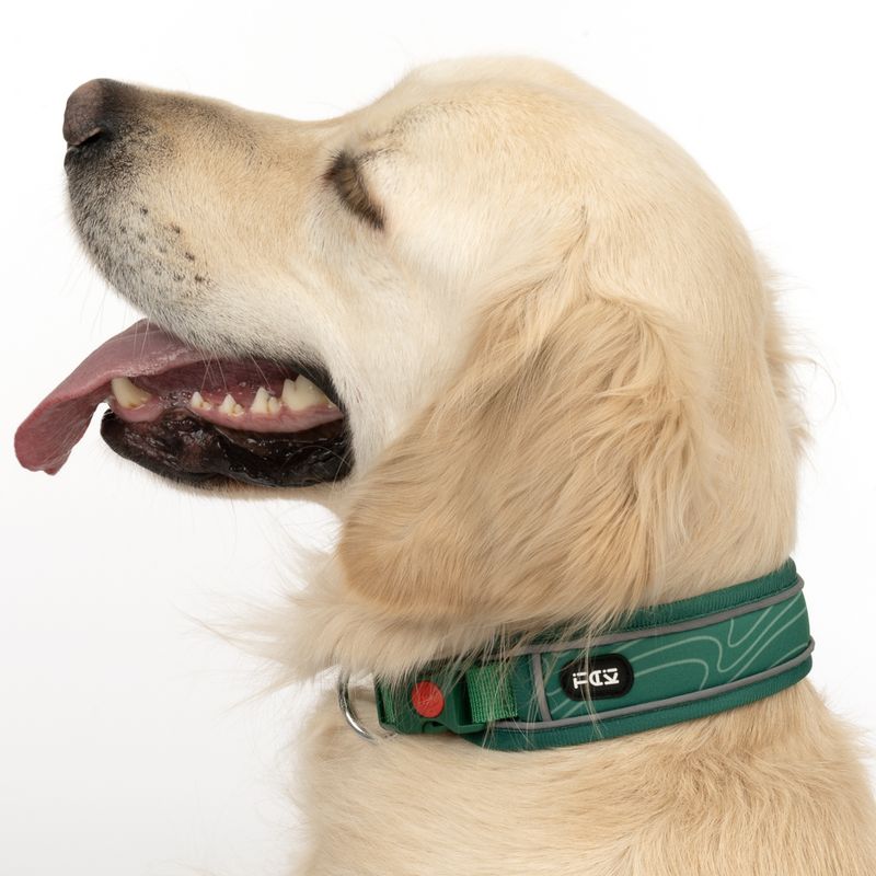TIAKI Halsband Soft & Safe, grün zu TOP-Preisen