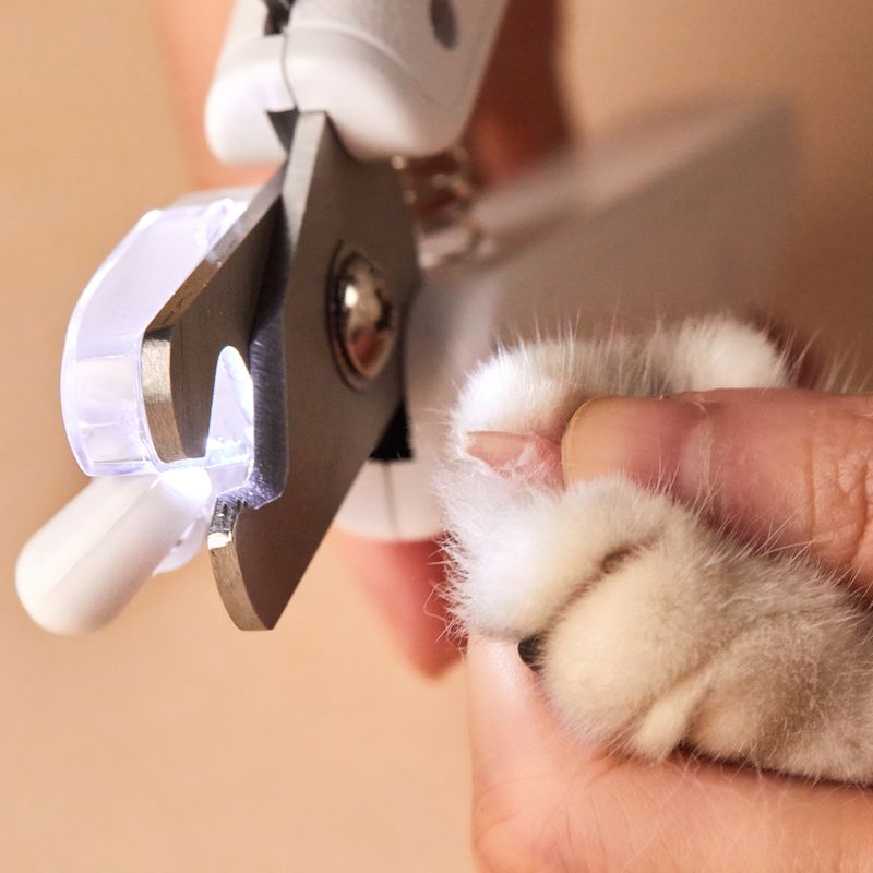 Petkit LED-Krallenschneider für Haustiere zu TOP-Preisen | bitiba