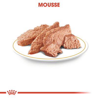 Royal Canin Chihuahua Mousse