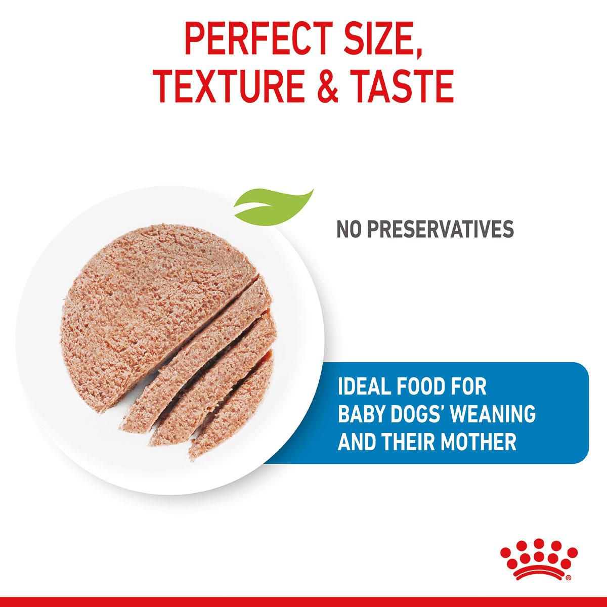 ROYAL CANIN SHN Starter Loaf Can 12x195g kaufen bei ZooRoyal