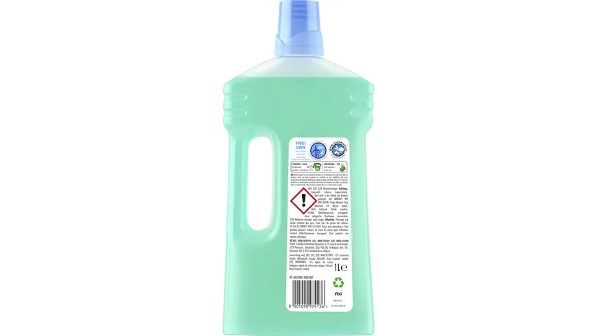Meister Proper Allzweckreiniger Frühlingserwachen 1 l