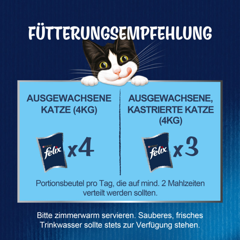 Felix Nassfutter Felix So gut wie es aussieht 12x85g Geschmacksvielfalt aus dem Wasser
