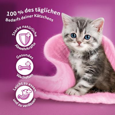 Jumbopack Whiskas Junior Frischebeutel 96 x 85 g