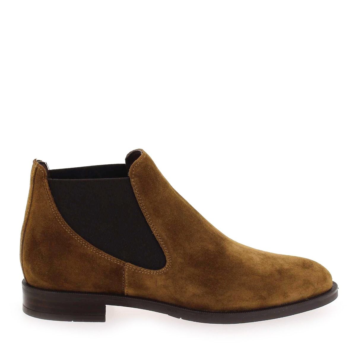 Alpe  2646 - camel