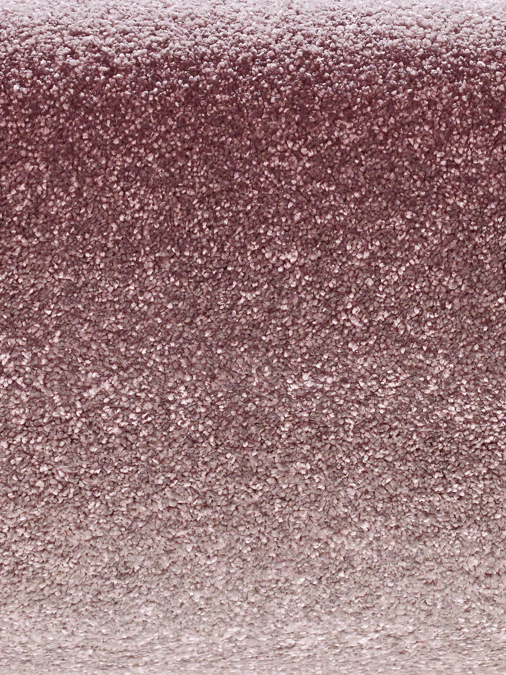 Sovereign Hochflor-Teppich, Mocca