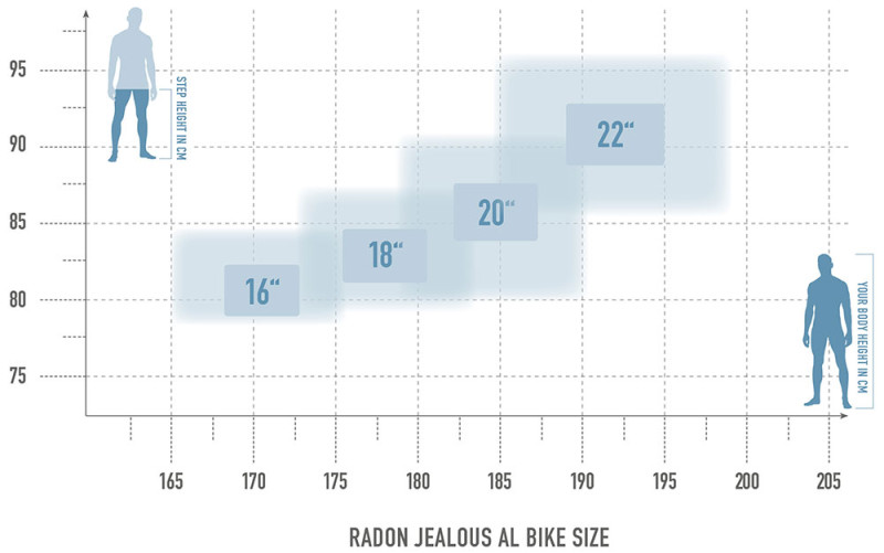 Radon Jealous AL 8.0 HD kaufen | Bike-Discount