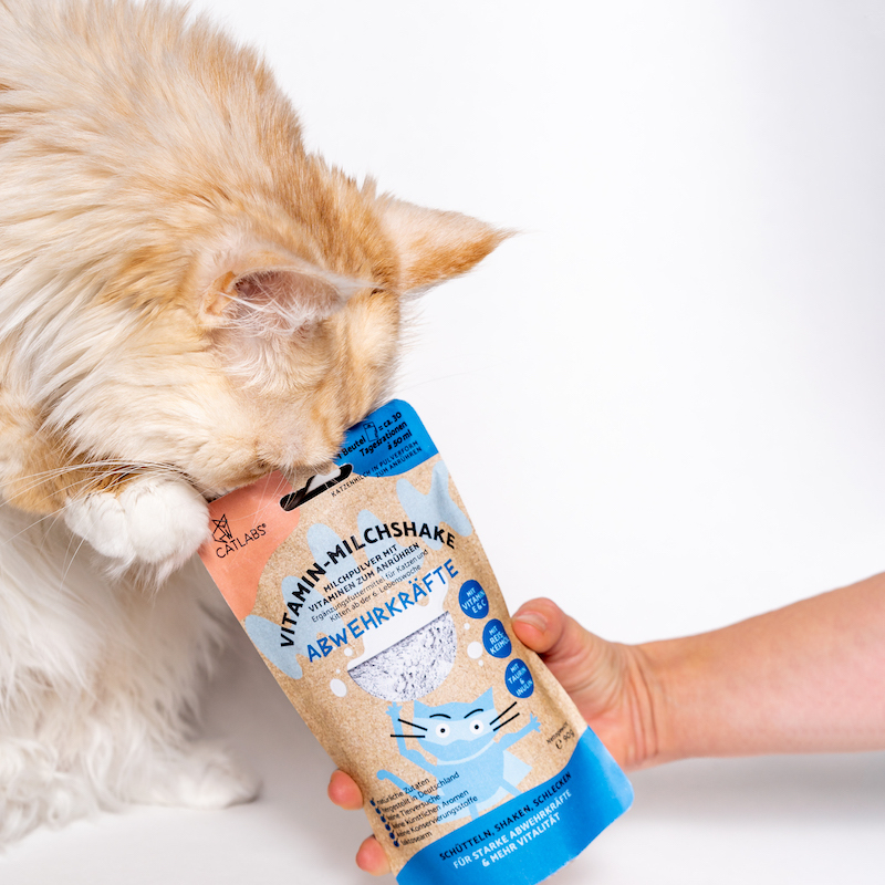 Catlab Katzenmilch & Getränke Catlab Vitamin-Milchshake für Katzen Abwehrkräfte