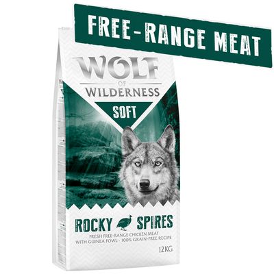 Wolf of Wilderness 