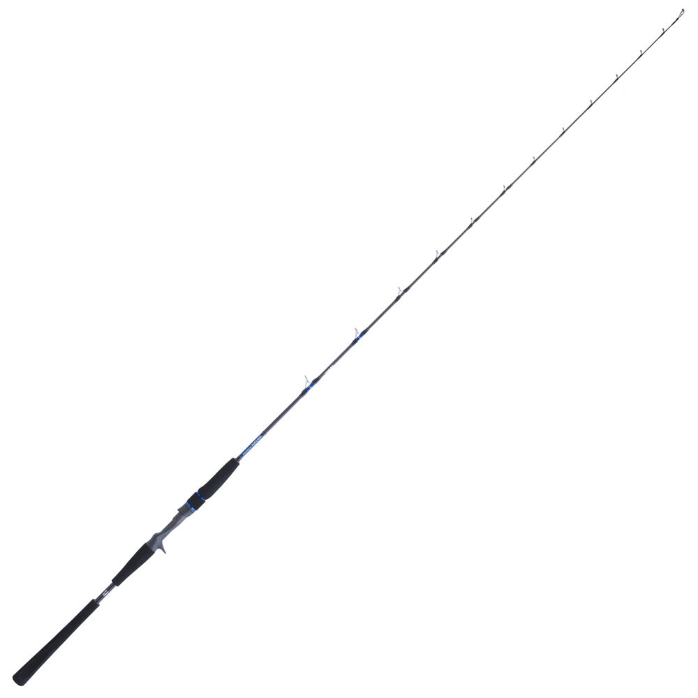 Daiwa saltiga bay jigging 64 1.93m 180g jig (baitcasting) rod