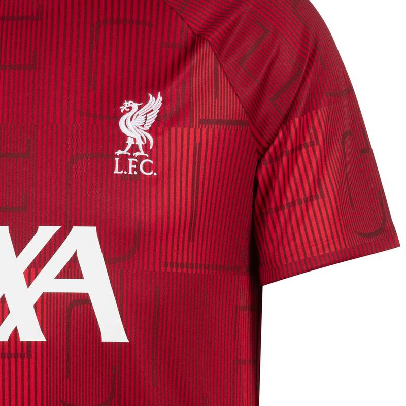 Nike FC Liverpool Prematch Funktionsshirt Herren