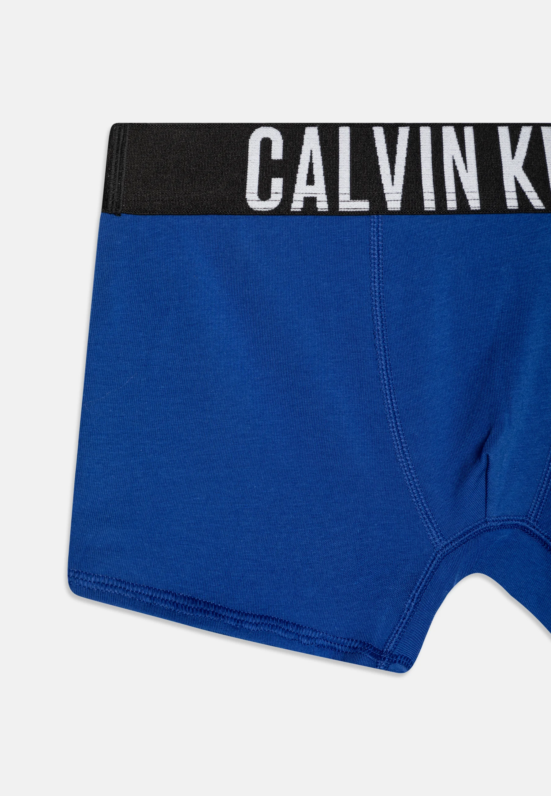 Calvin Klein Underwear TRUNK PACK DE 2 - Culotte