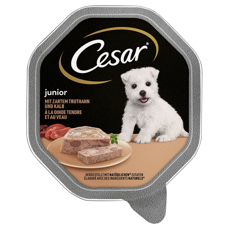 Sparpaket Cesar Junior Schale 28 x 150 g