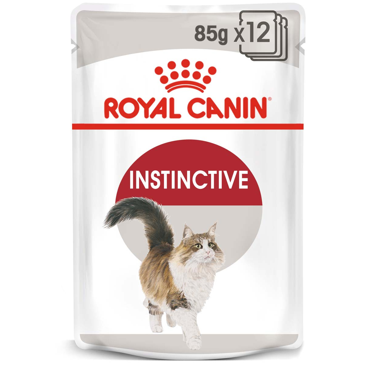 ROYAL CANIN INSTINCTIVE Katzenfutter nass in Gelee