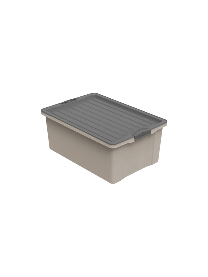 Rotho Stapelbox DIN A3, 38 l COMPACT günstig kaufen onesize