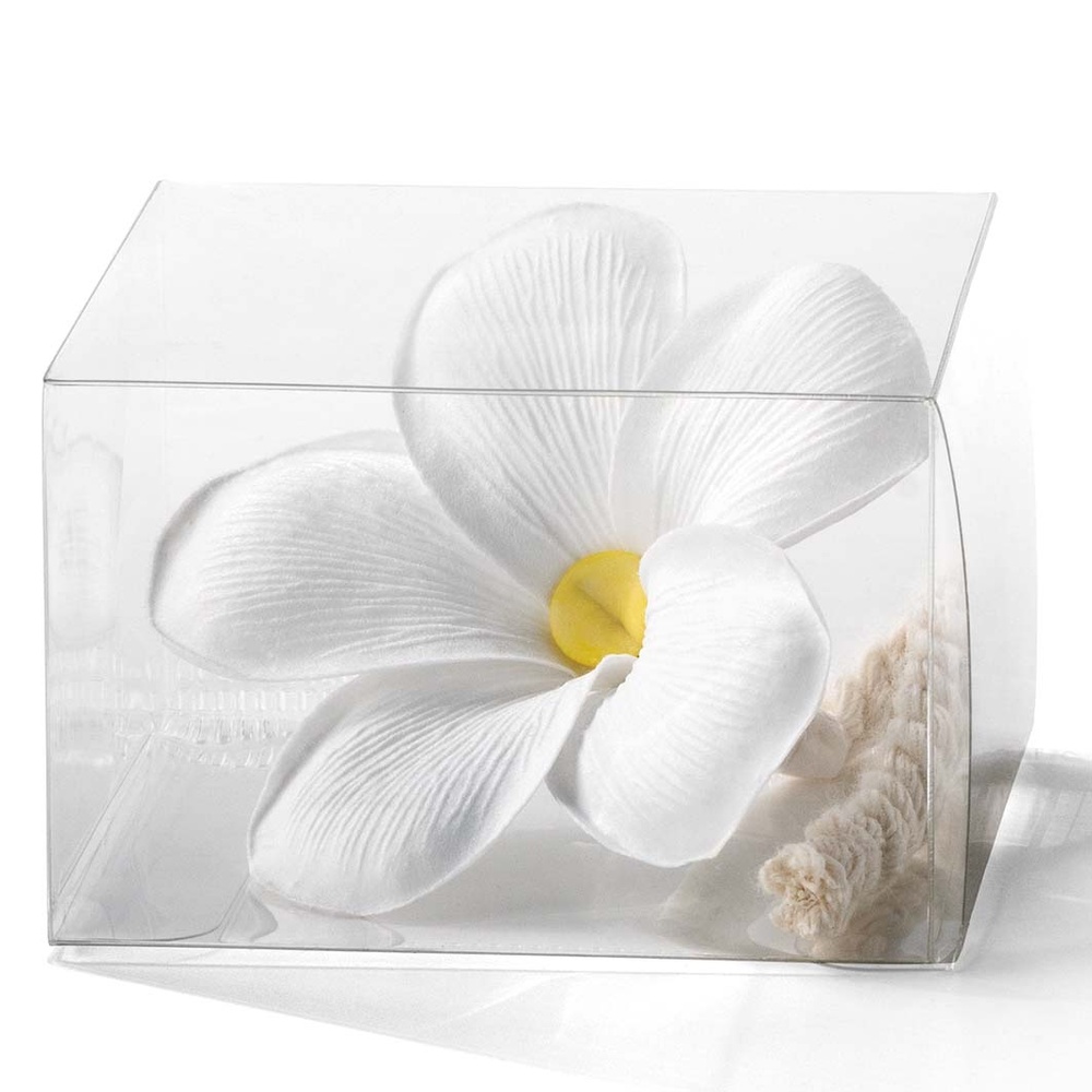 esteban Fleur à parfum Recharge Fleur à parfum