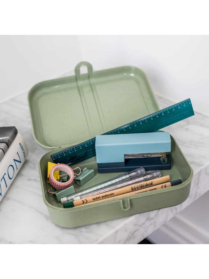 koziol PASCAL L * - Lunchbox mit Trennsteg in organic green günstig kaufen onesize